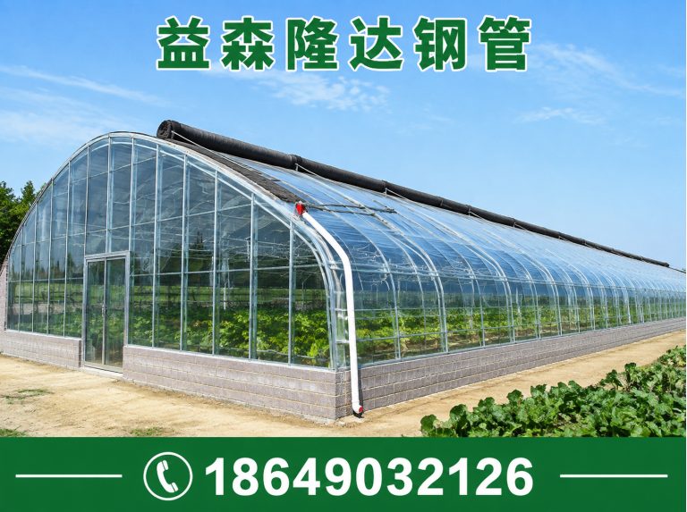滨海新区日光温室大棚，连栋温室大棚，单体大棚，塑料大棚，育苗大棚，养殖大棚展示图
